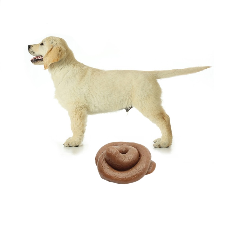 Funny Prank Poop Squishy Toy - - Fake Poop Gag Gift review and price