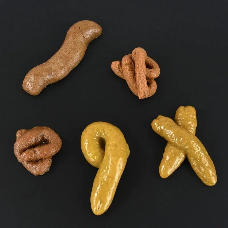 Realistic Shit Safe and Soft P - Fake Poop Gag Gift review and price