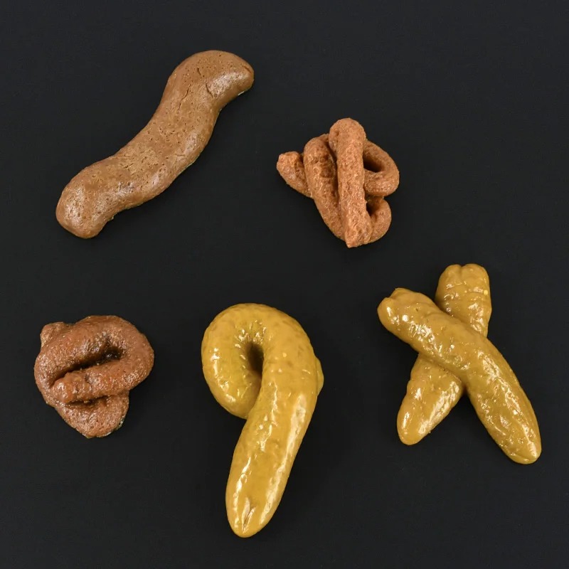 Realistic Shit Safe And Soft P - Fake Poop Gag Gift review and price